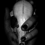 birdboy01 from onlyfans