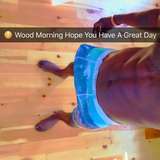 detroithorse5 from onlyfans