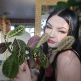 arachnelover from onlyfans