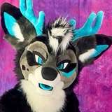 onlydeer from onlyfans