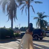 loistorres from onlyfans